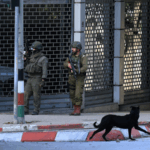 Israeli_Raid_in_West_Bank_Leaves_Palestinian_Dead_Amid_Escalating_Tensions - 🌍NewspaperAmigo – Your Global News Buddy 🗞️ Israeli_Raid_in_West_Bank_Leaves_Palestinian_Dead_Amid_Escalating_Tensions