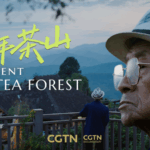 JNNFKTHMHBKQLM8W5U51 - 🌍NewspaperAmigo – Your Global News Buddy 🗞️ Guardians of the Leaf: China's Tea Culture Faces Modern Challenges 🌱 video poster