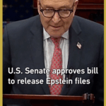 KYXF2H6O1K7I0LXNBM1U - 🌍NewspaperAmigo – Your Global News Buddy 🗞️ U.S. Congress Unanimously Approves Release of Epstein Files 🔍📜 video poster