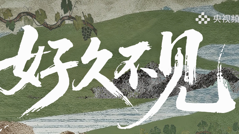 New_Docu_Series__Long_Time_No_See__Captures_Modern_China_s_Heart video poster