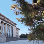 Xi Jinping Welcomes Tonga's King in Beijing Ceremony 🌏
