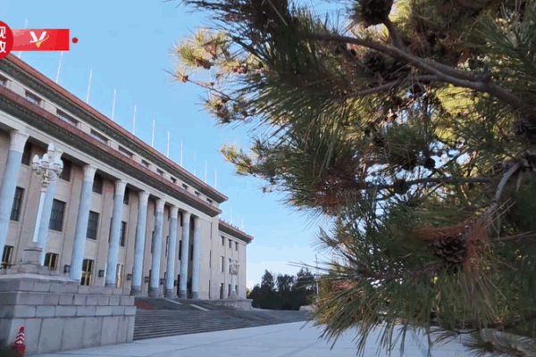 Xi Jinping Welcomes Tonga's King in Beijing Ceremony 🌏