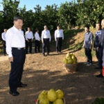 P3E64T6GF8BY336NG0IM - 🌍NewspaperAmigo – Your Global News Buddy 🗞️ Xi Jinping Tours Meizhou, Boosts Rural Revitalization 🌱🇨🇳