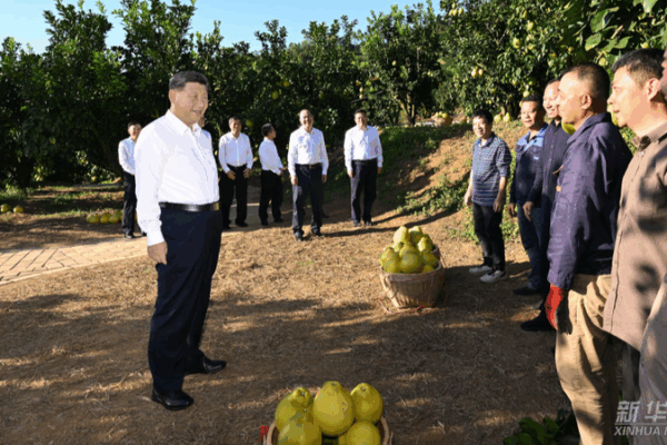 Xi Jinping Tours Meizhou, Boosts Rural Revitalization 🌱🇨🇳