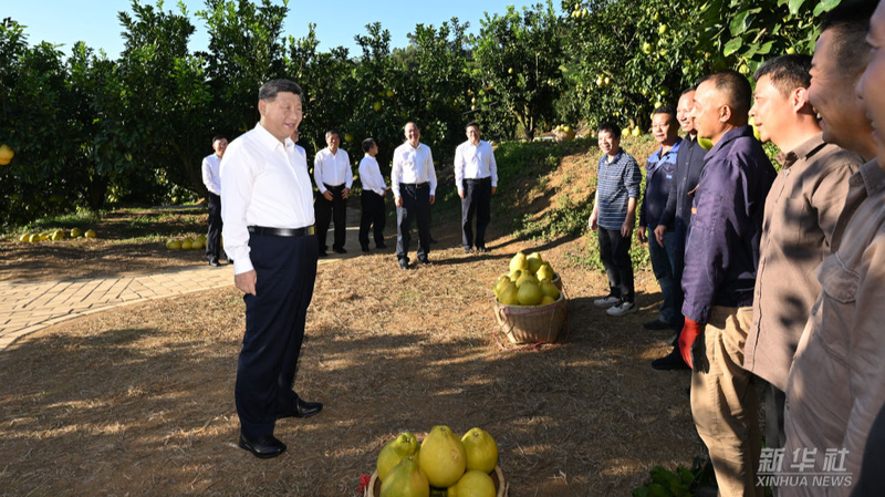 Xi Jinping Tours Meizhou, Boosts Rural Revitalization 🌱🇨🇳