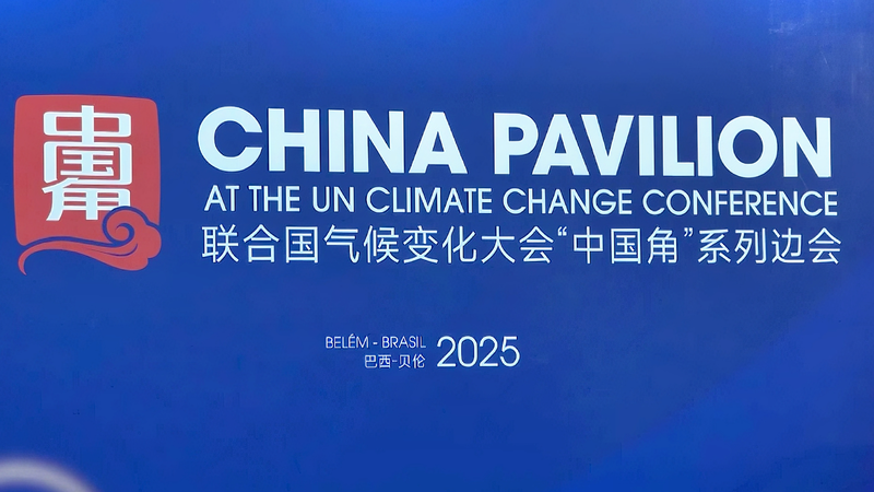 China Hails COP30 Deal as Global Green Shift 'Irreversible' 🌱