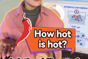 🤖🌶️ China's 'Artificial Tongue' Can Now Taste Spiciness! video poster