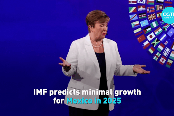 IMF Forecasts Sluggish Growth for Mexico in 2025 🌍📉 video poster
