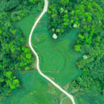 Xi’s Eco-Civilization Vision Gains Global Spotlight in 2025 🌱🌍