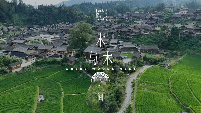 TEIAEQI3WO7AHGN2ANZO - 🌍NewspaperAmigo – Your Global News Buddy 🗞️ Ancient Craft Meets Modern World: China's Timber Framing Legacy 🌳🏡 video poster
