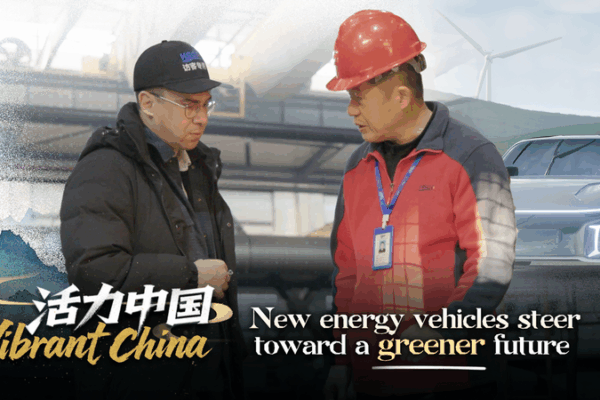 China's NEVs Drive Global Green Shift 🌱🚗 video poster