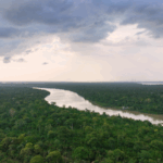 COP30’s Climate Finance Breakthrough: Progress & Hurdles 🌱💸