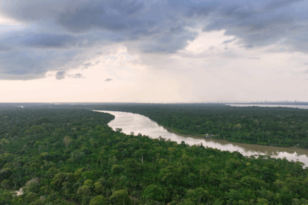 COP30’s Climate Finance Breakthrough: Progress & Hurdles 🌱💸