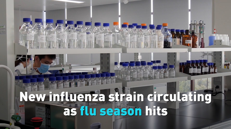 New Flu Strain Alert: What You Need to Know in 2025 🌡️ video poster