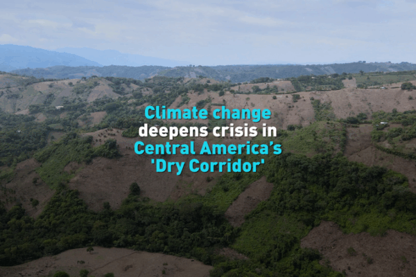 Climate Crisis Intensifies in Central America’s Dry Corridor 🌍🔥 video poster