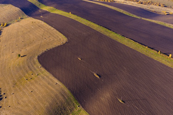 China’s Black Soil Revival: Farming’s Future Secured 🌱