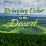 China Turns Deserts Green: A Historic Eco Shift 🌱🏜️ video poster