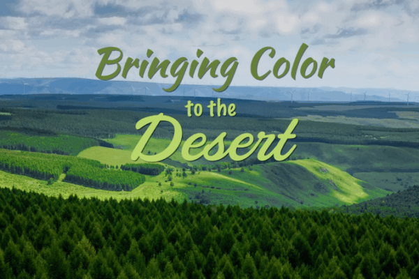 China Turns Deserts Green: A Historic Eco Shift 🌱🏜️ video poster