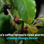 Climate Crisis Brews in Mexico’s Coffee Heartland ☕🌍 video poster