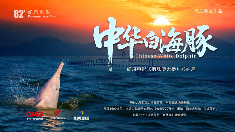 Chinese White Dolphin Doc Dives Into Theaters Dec. 12 🐬🎥
