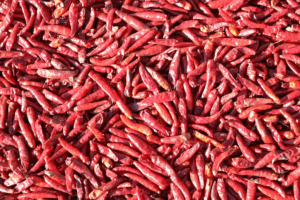 🌶️ Chinese Scientists Create 'Artificial Tongue' to Measure Spiciness!