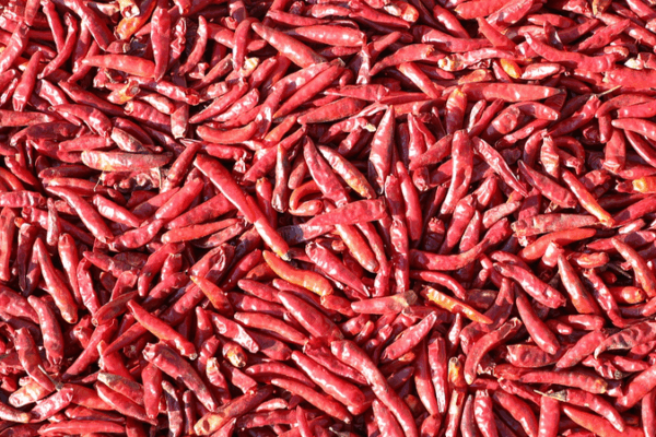 🌶️ Chinese Scientists Create 'Artificial Tongue' to Measure Spiciness!