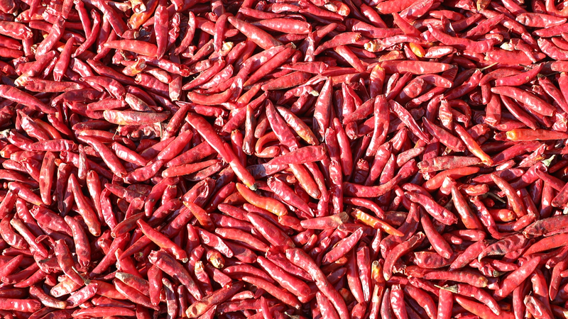 🌶️ Chinese Scientists Create 'Artificial Tongue' to Measure Spiciness!