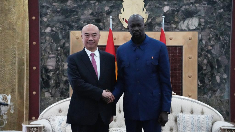 China & Guinea Strengthen Ties with New Iron Ore Partnership 🌍✨