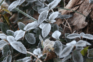 Triple Cold Waves Hit China: Brace for Snow & Chill ❄️🌬️