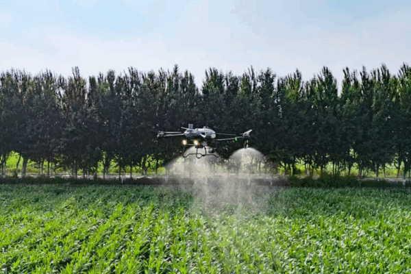 🌾 Tech Meets Tradition: China’s Smart Farming Revolution in 2025