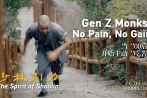 Gen Z Monks: Kung Fu, Pain & Enlightenment 🧘♂️👊 video poster