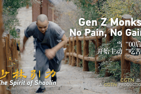 Gen Z Monks: Kung Fu, Pain & Enlightenment 🧘♂️👊 video poster