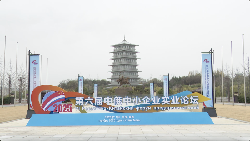 🌱 China & Russia SMEs Forge Green Economy Partnerships in Xi'an