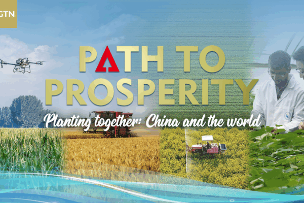 China Cultivates Global Growth Through Agricultural Partnerships 🌱🌍 video poster