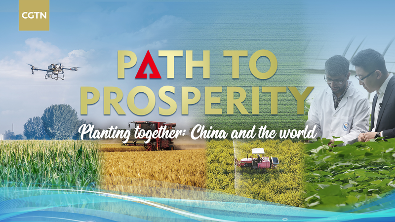China Cultivates Global Growth Through Agricultural Partnerships 🌱🌍 video poster