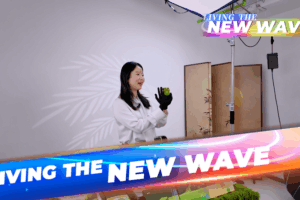 China's Livestream Shopping Revolution Goes Global 🌐📱 video poster