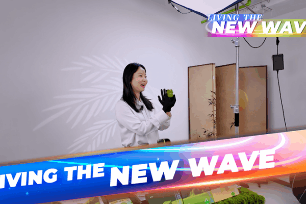 China's Livestream Shopping Revolution Goes Global 🌐📱 video poster