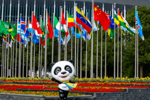 Shanghai’s 8th CIIE Sparks Global Trade Innovation 🌐💼