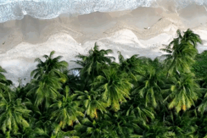 Hainan's 'Milk Sea' Emerges as 2025's Hidden Coastal Gem 🌊✨ video poster