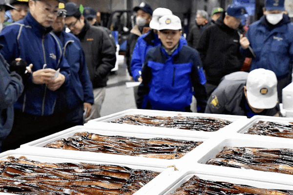 Japan's Seafood Exports in Crisis After PM's Remarks Spark China Tensions 🌊🇯🇵