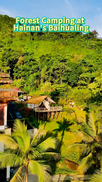 09FO962MJA6S1RE3JNS3 - 🌍NewspaperAmigo – Your Global News Buddy 🗞️ 🌿 Escape to Hainan's Baihualing: A 2025 Forest Camping Guide video poster