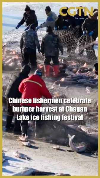 0B3VJDS1HFQG3BDYBX53 - 🌍NewspaperAmigo – Your Global News Buddy 🗞️ Chagan Lake Ice Fishers Reel in Record-Breaking Harvest 🎣❄️ video poster