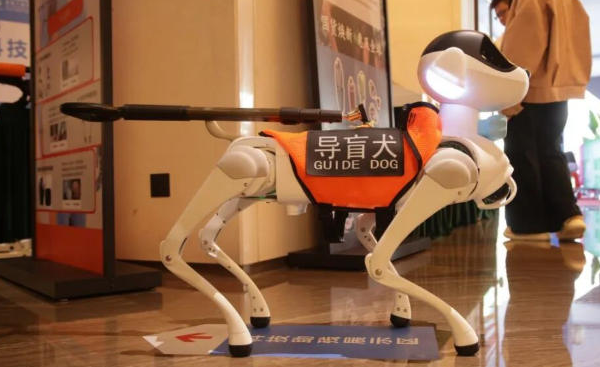 Shenzhen's Tech-Powered Games Set New Standards in 2025 🏃♂️🤖