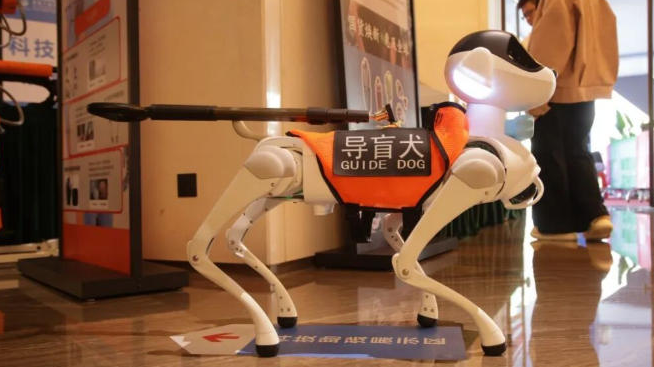 Shenzhen's Tech-Powered Games Set New Standards in 2025 🏃♂️🤖