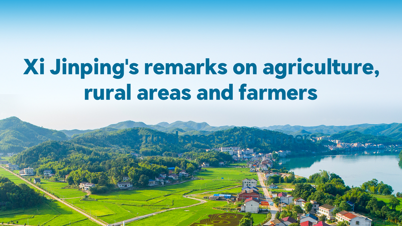 Xi Jinping Prioritizes Rural Revitalization in 2025 Agenda 🌾