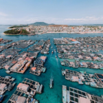 1583J2TZXBOG05ONBZ93 - 🌍NewspaperAmigo – Your Global News Buddy 🗞️ Hainan's Floating Maze: Exploring 500-Year-Old Tanka Culture 🌊🏡