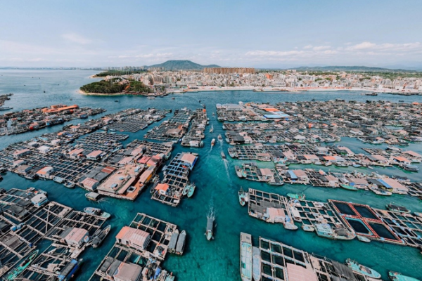 Hainan's Floating Maze: Exploring 500-Year-Old Tanka Culture 🌊🏡