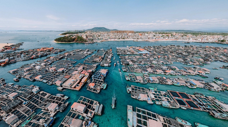 Hainan's Floating Maze: Exploring 500-Year-Old Tanka Culture 🌊🏡