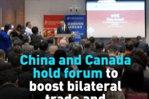 China & Canada Forge Trade Ties at Toronto Forum 🌐🤝 video poster