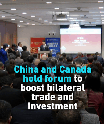 China & Canada Forge Trade Ties at Toronto Forum 🌐🤝 video poster